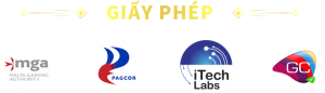 Giấy phép AU88